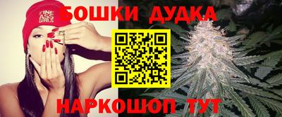 гашик Краснознаменск