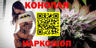 гашик Краснознаменск