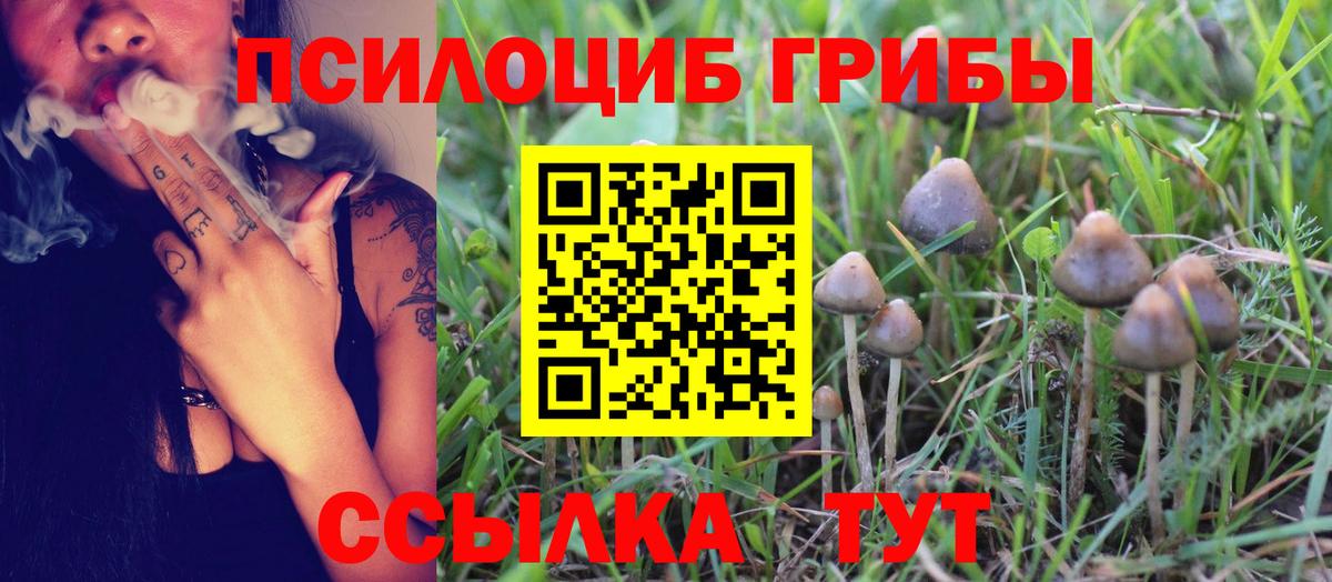 Псилоцибиновые грибы прущие грибы  Галлюциногенные грибы мицелий  Киселёвск  Вход с VPN 